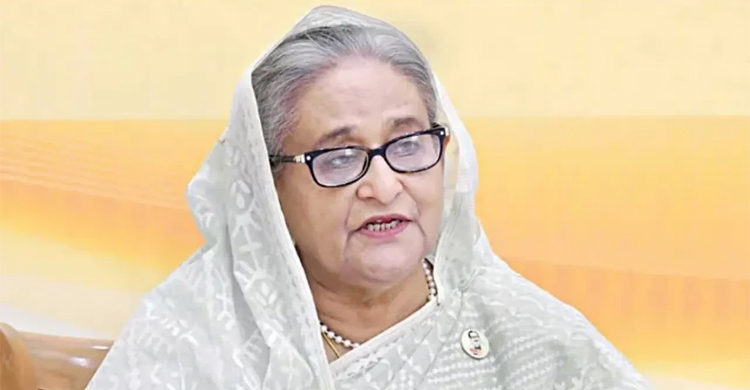 জুলাই-আগস্টের সকল হত্যাকাণ্ডের দায় শেখ হাসিনার